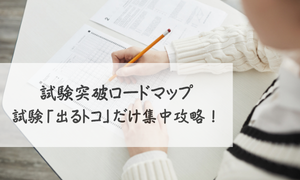 試験突破ロードマップ